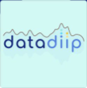logo datadiip